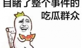 718吃瓜爆料往期内容,回顾往期精彩内容，揭秘娱乐圈幕后故事
