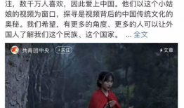 李子柒短视频所展示的中华魅力,李子柒短视频中的中华魅力画卷