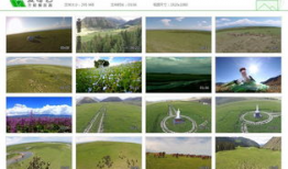 草原短视频素材,自然画卷中的动感瞬间