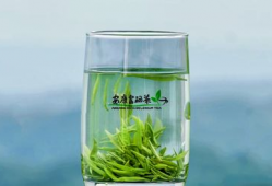 茶叶 短视频,短视频带你领略茶叶魅力之旅