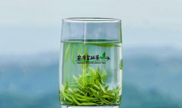 茶叶 短视频,短视频带你领略茶叶魅力之旅