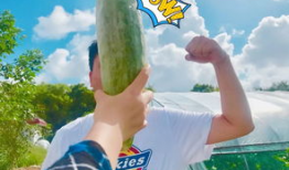 网红爆料吃瓜喷水在线,吃瓜喷水，揭秘娱乐圈幕后真相