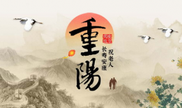 重阳节短视频,共赏夕阳下的温馨时光