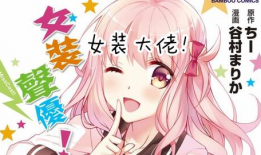 动漫伪娘,揭秘动漫世界中的性别模糊之美