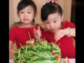 双胞胎姐妹吃瓜爆料,一场吃瓜爆料的狂欢