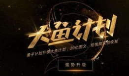 大鱼号短视频,捕捉生活精彩瞬间，展现独特魅力