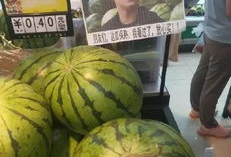 网红爆料吃瓜喷水在线,吃瓜喷水，揭秘娱乐圈幕后真相